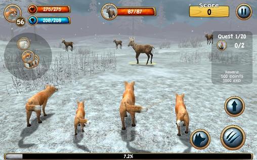 Wild fox sim 3D