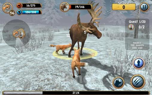 Wild fox sim 3D