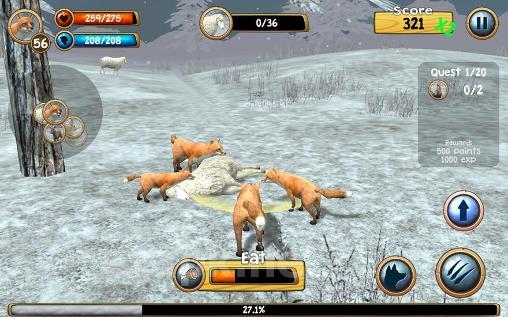 Wild fox sim 3D
