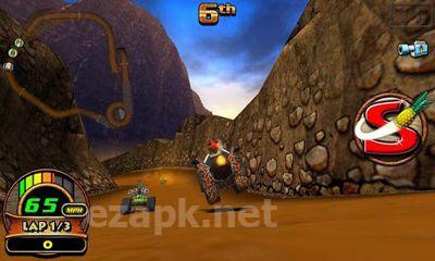 Tiki Kart 3D