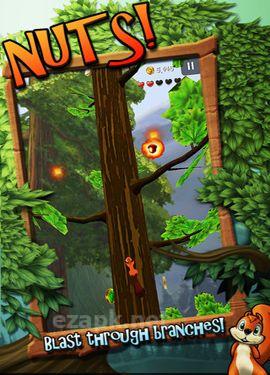 Nuts!