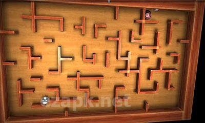 Crazy Labyrinth 3D