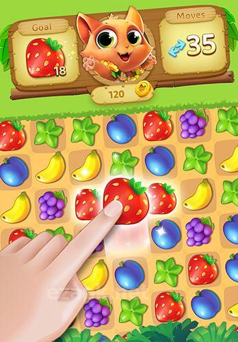 Tropicats: Puzzle paradise
