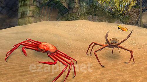Crab simulator 3D