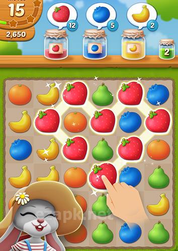 Fruit jam: Puzzle garden
