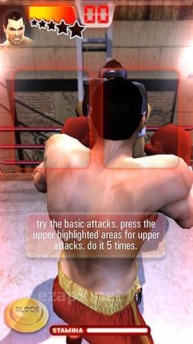 Iron fist boxing lite: The original MMA game