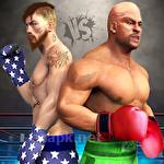 Real punch boxing super star: World fighting hero