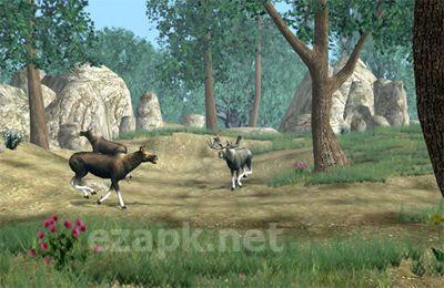 Big Buck Hunter Pro