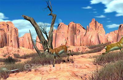 Big Buck Hunter Pro