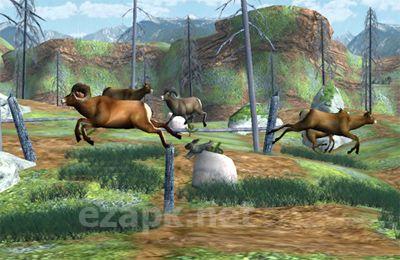 Big Buck Hunter Pro