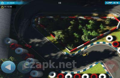Minicar World Racing HD