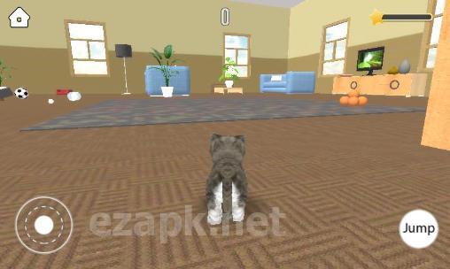 Pet simulator