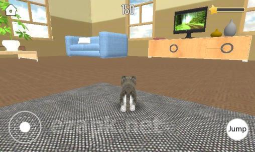 Pet simulator