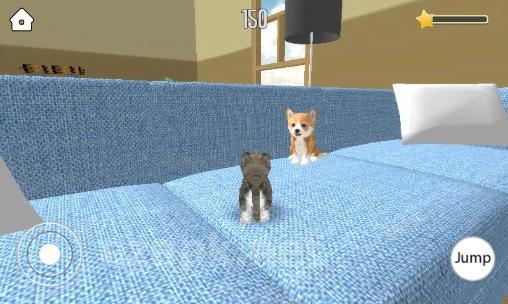 Pet simulator