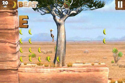 Jungle beat