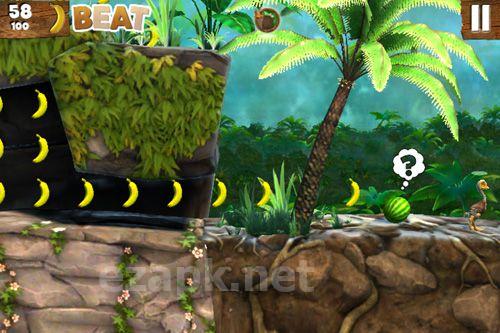 Jungle beat