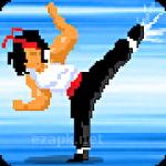 Kung fu fight: Beat em up