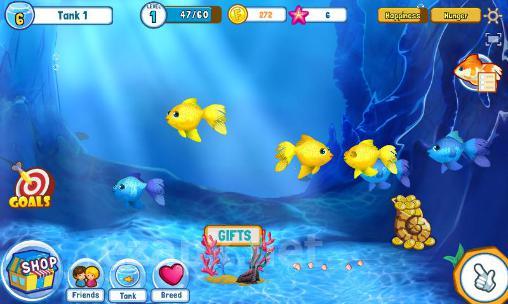 Fish adventure: Seasons