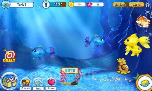 Fish adventure: Seasons