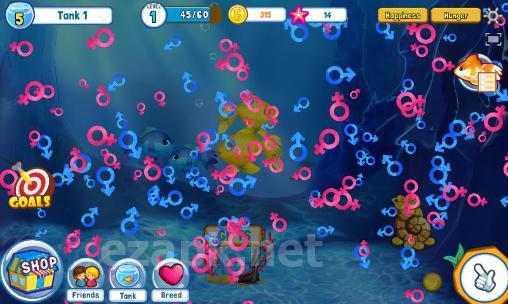 Fish adventure: Seasons