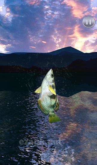 Fishing fever