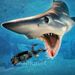 Shark simulator 2018