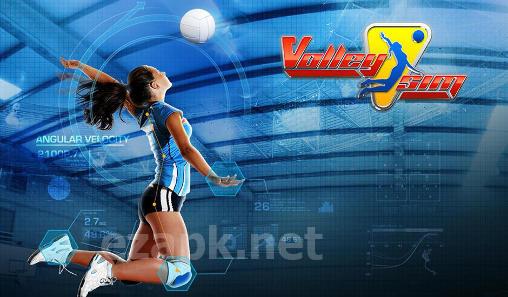Volleysim