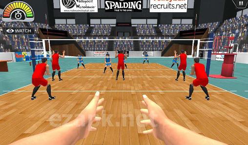 Volleysim