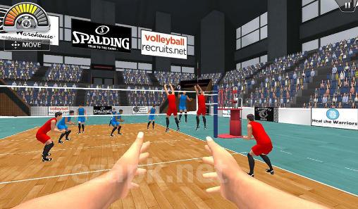 Volleysim