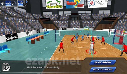 Volleysim