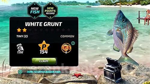 Fishing clash: Fish game 2017