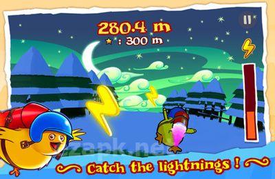 Rocket Bird