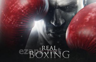 Real Boxing