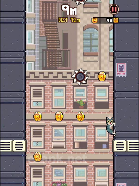 Cat Jump