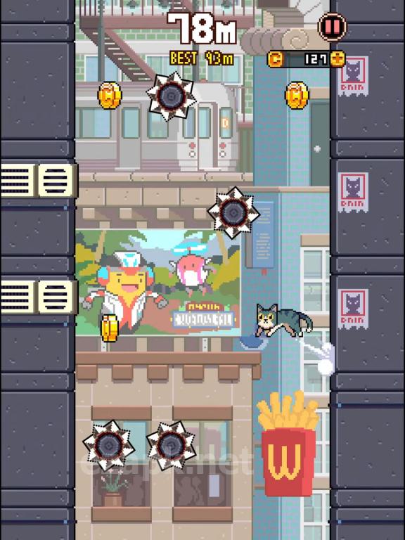 Cat Jump