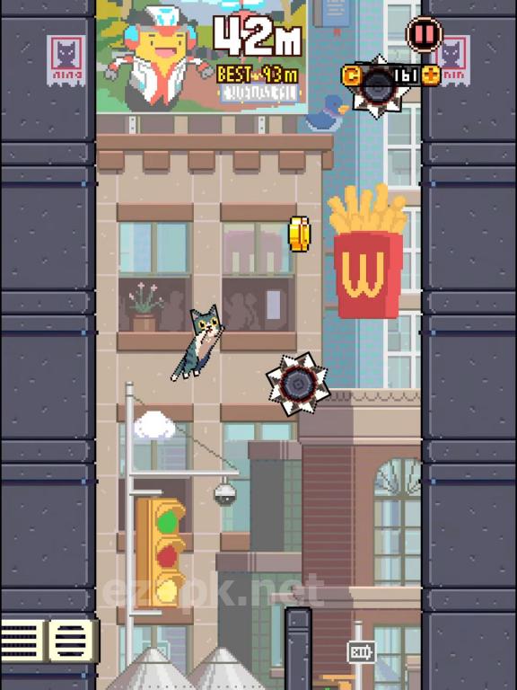 Cat Jump