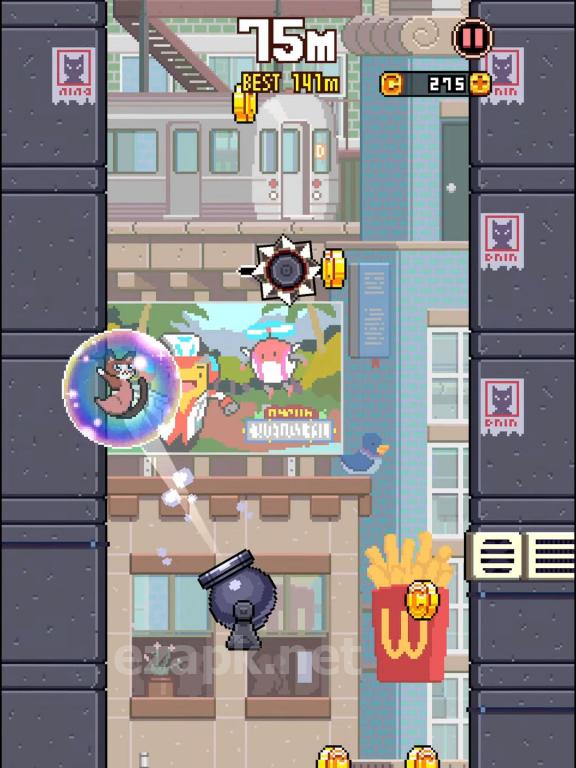 Cat Jump
