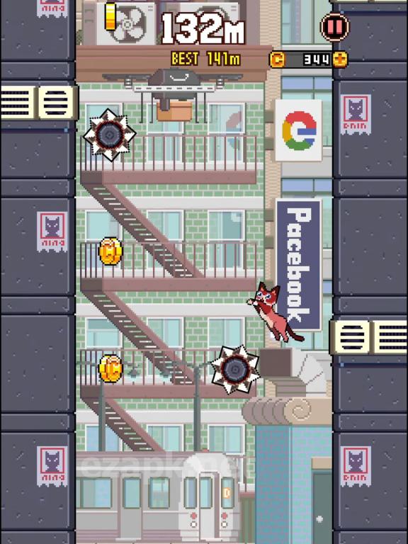 Cat Jump