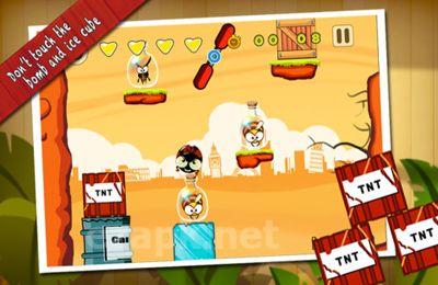 KungFu Bugs