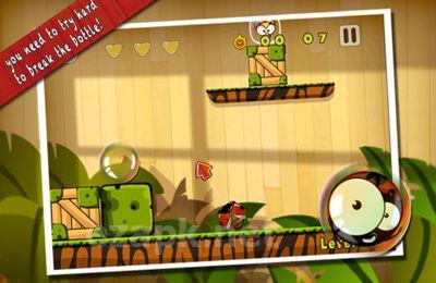 KungFu Bugs