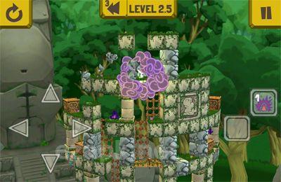 Rinth Island