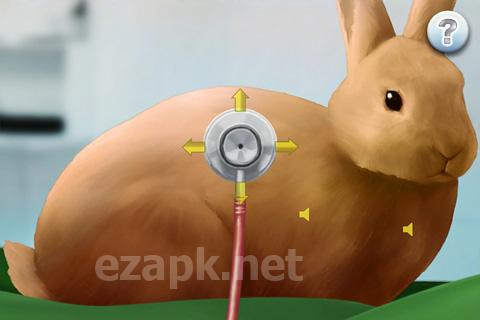 Dreamjob: Veterinarian