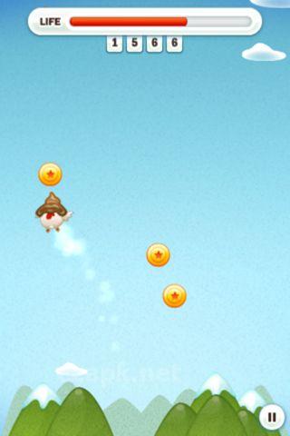 Flying chicken