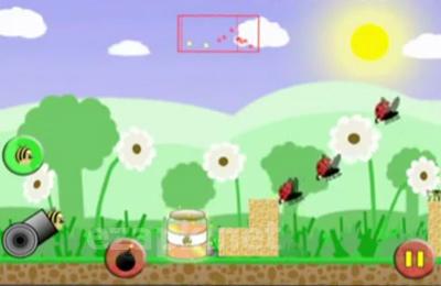 Angry Bees