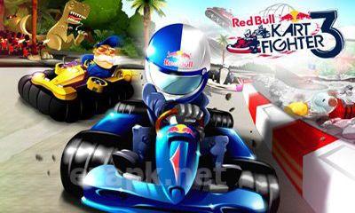 Red Bull Kart Fighter 3