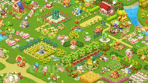 Happy ranch