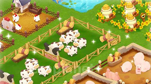 Happy ranch