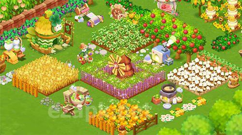 Happy ranch
