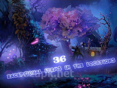Toto: Fairy forest