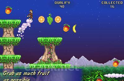 Monkey Flight
